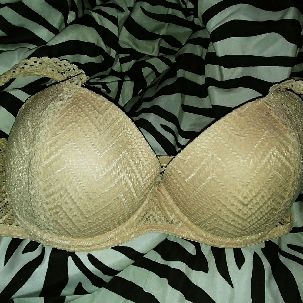 Fruit of the loom bra